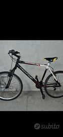 bicicletta in alluminio ammortizzata 