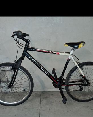 bicicletta in alluminio ammortizzata 