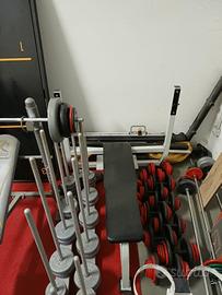 Panca palestra professionale 