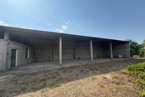 Terreno agricolo con agrumeto, uliveto e capannone