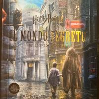 Il mondo segreto - Harry Potter