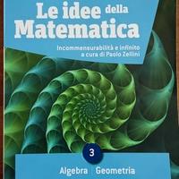 Le idee della matematica algebra e geometria 3