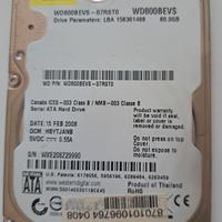 Hdd interno Western Digital da 80 GB