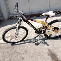 bicicletta 