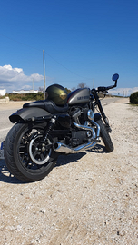 Harley Roadster 1.2 Splendida