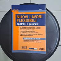 Libro: nuovi lavori flessibili 2013