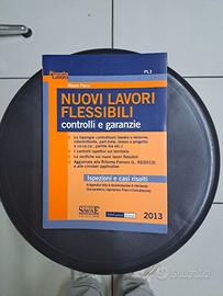 Libro: nuovi lavori flessibili 2013