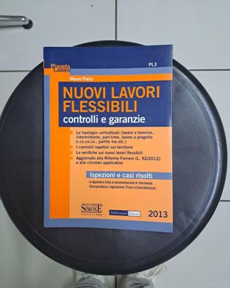 Libro: nuovi lavori flessibili 2013