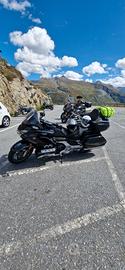 honda goldwing tourer DCT