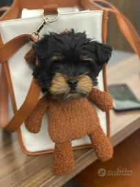 Borsa trasportino cani gatti