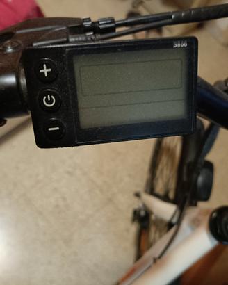 bici  da donna 
