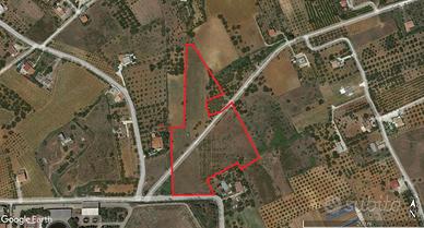 Terreno agricolo a Partinico, Contrada Cicala