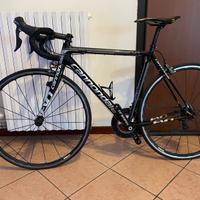 Bicicletta cannondale evo