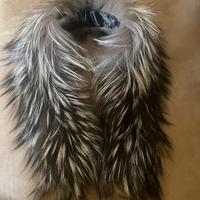 Collo di volpe di philippe plein