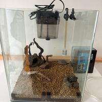 Acquario cubo 30x30x30 gia arredato