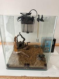 Acquario cubo 30x30x30 gia arredato