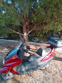 scooterone Yamaha majesty