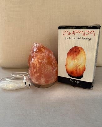 Lampada di sale rosa dell'Himalaya. Nuova