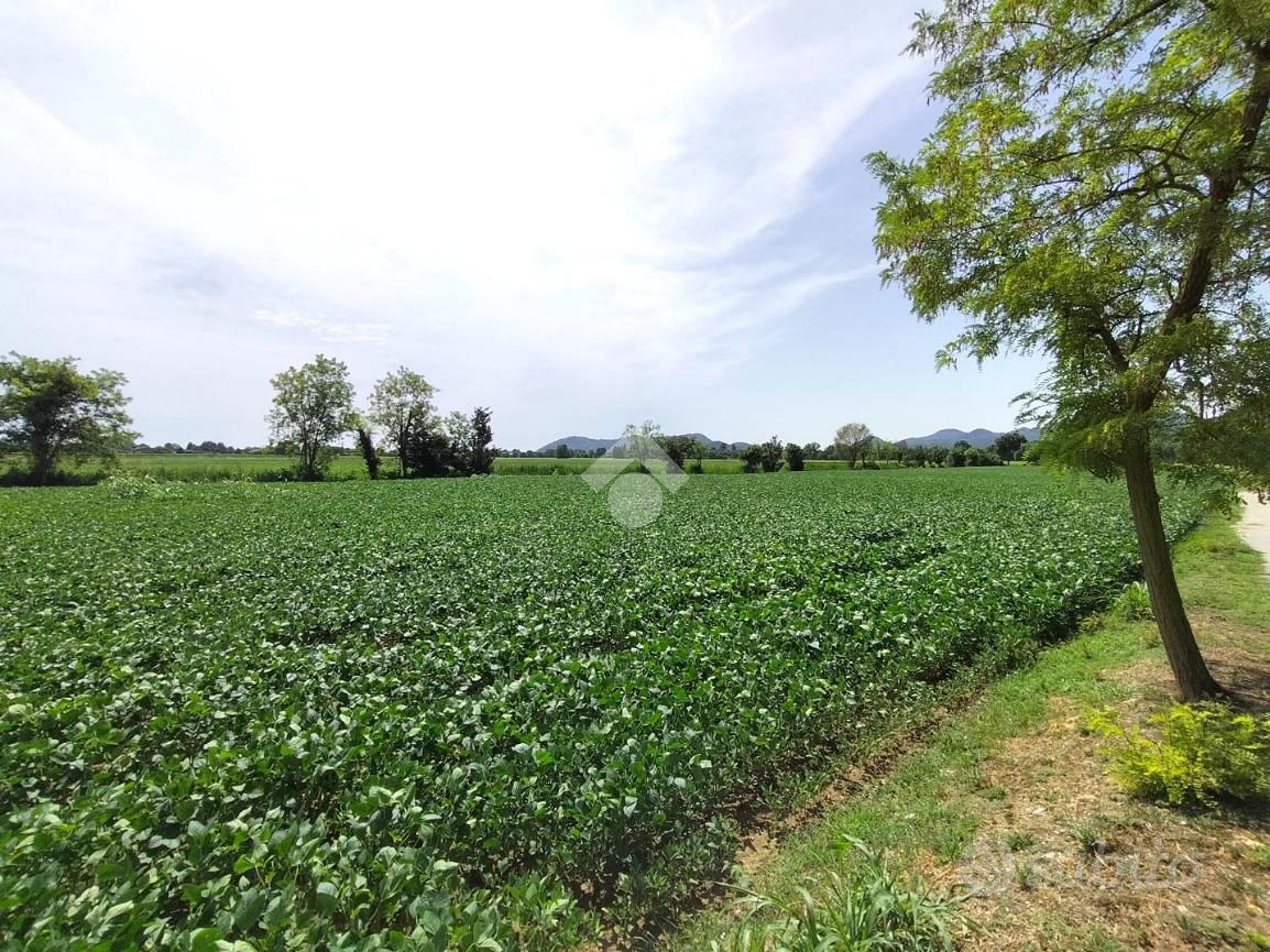 TER. AGRICOLO A ROVOLON - Vista 3