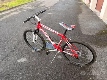Mountain bike