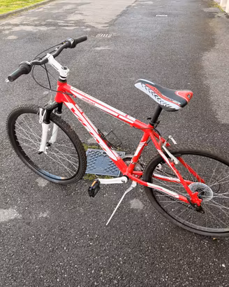 Mountain bike