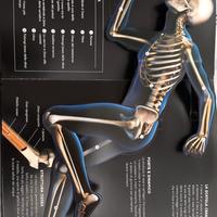 libro corpo umano 