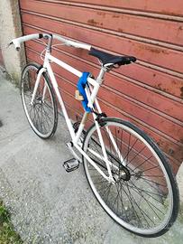 Bici single speed "Alpina stringhetto"