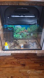acquario tetra
