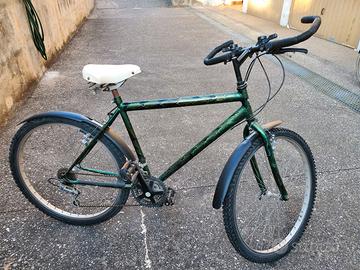 MTB 25"