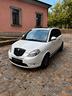 lancia-ypsilon-1-3-mjt-75-cv-platino