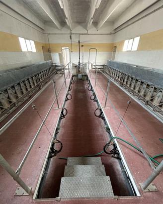 Impianto Mungitura Parallela Alfa Laval 48 posti