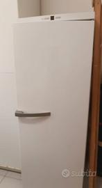 congelatore Miele 