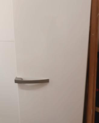 congelatore Miele 