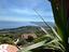 Immagine 10