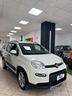fiat-panda-1-0-firefly-ses-hybrid-red