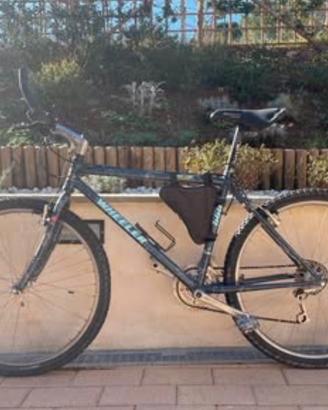 Bici Mtb Wheeler uomo
