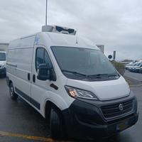Iveco fiat ducato anno 2021 frigo e.6