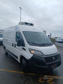Iveco fiat ducato anno 2021 frigo e.6