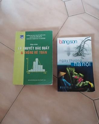 Libri in vietnamita