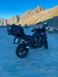 Harley Davidson Panamerica 1250