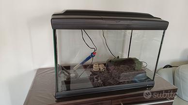 Acquario Cayman 60litri