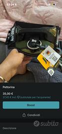 Pettorina