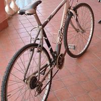 bicicletta da passeggio 