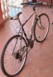 bicicletta da passeggio 