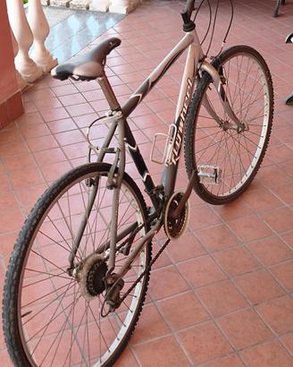 bicicletta da passeggio 
