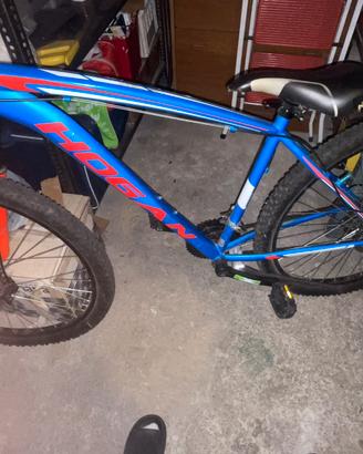 Bici mountain bike