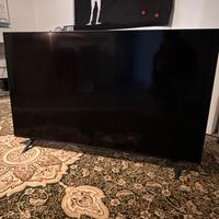 Smart Tv Led LG 55 pollici SCHERMO ROTTO