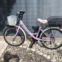 Bicicletta ragazza raggio 24