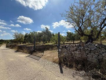 Terreno Agricolo - Crispiano
