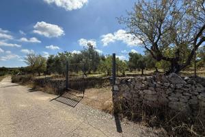 Terreno Agricolo - Crispiano